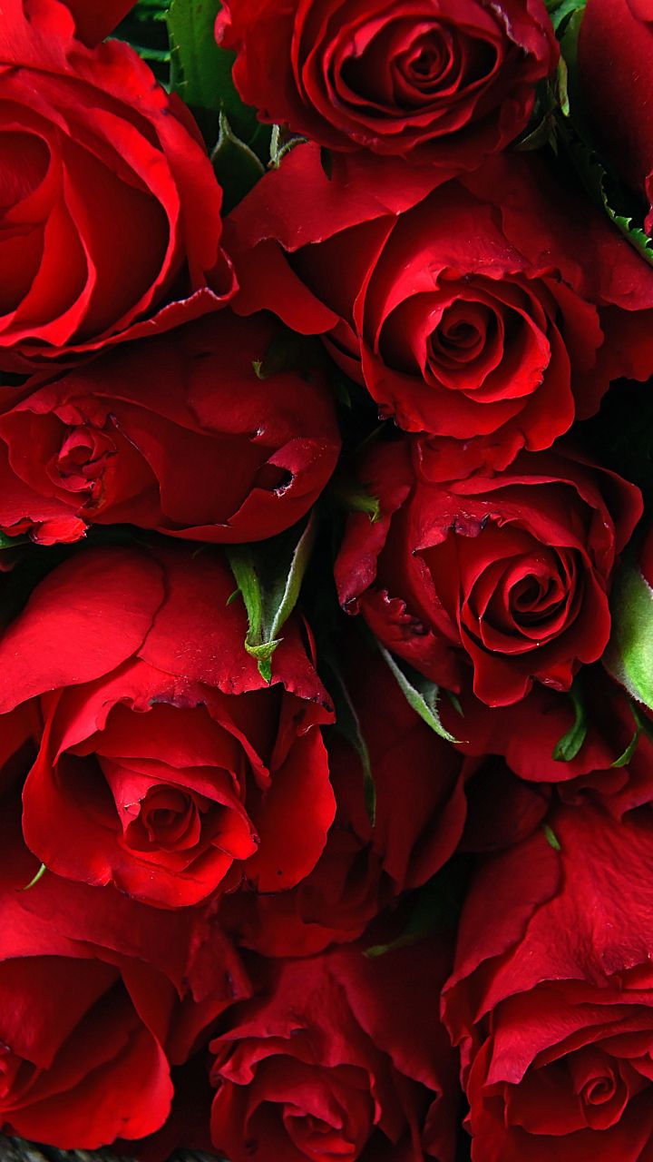pictures with red in them 0011
