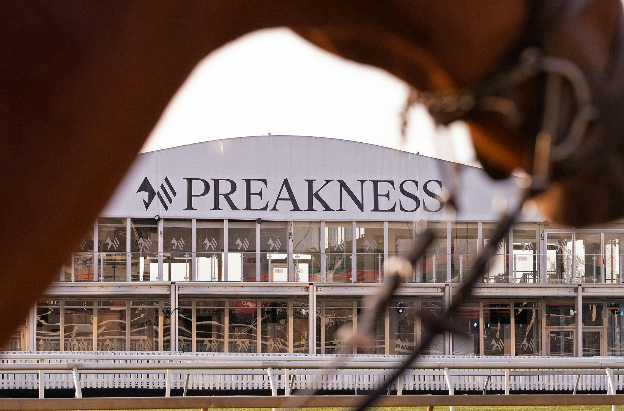 Pimlico betting odds 2023