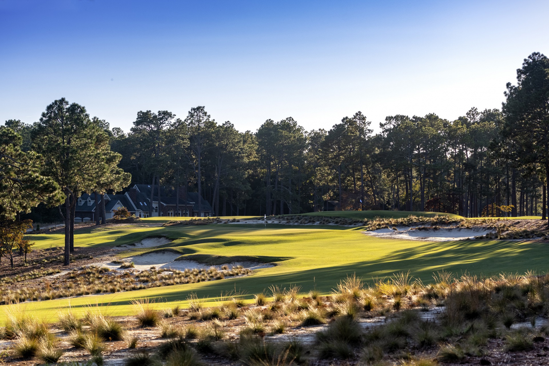pinehurst par 3 0044