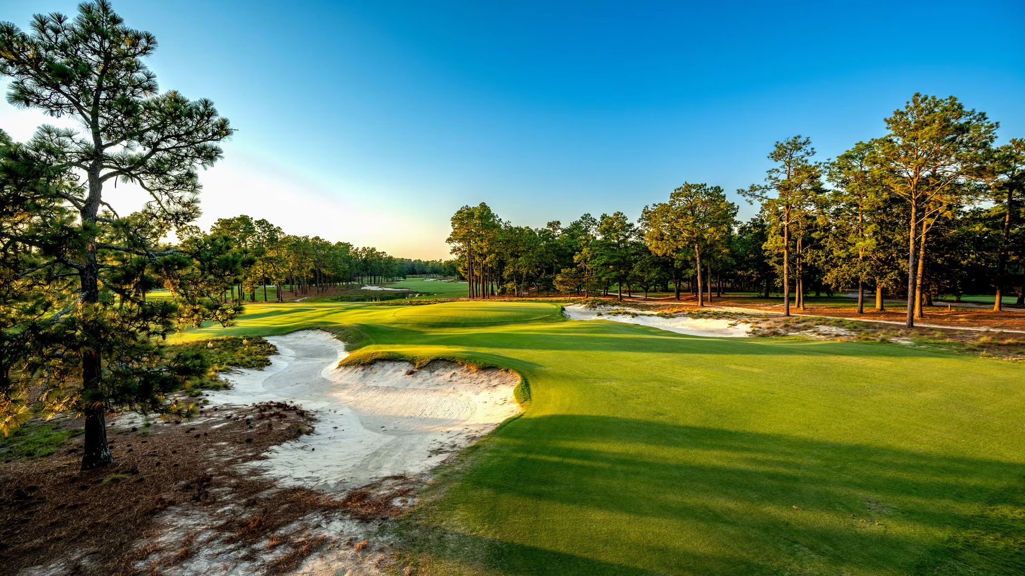 pinehurst par 3