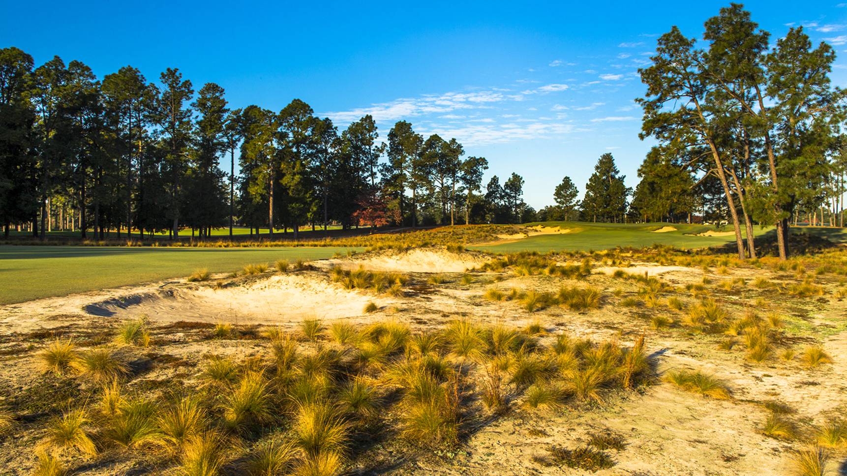 pinehurst no2 0009