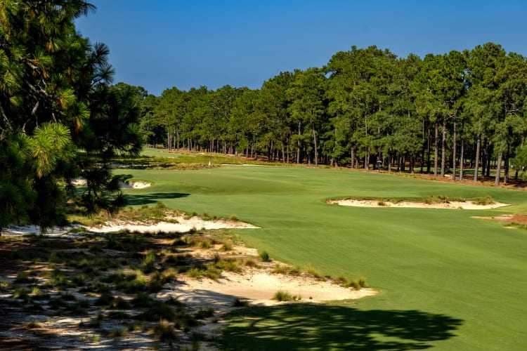 pinehurst no2 0015