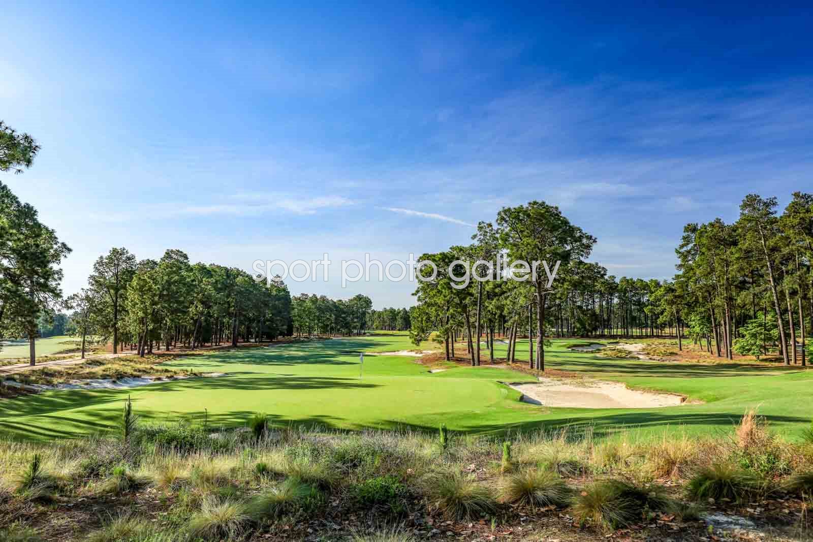 pinehurst no2 0017