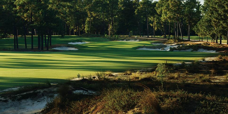 pinehurst no2 0018