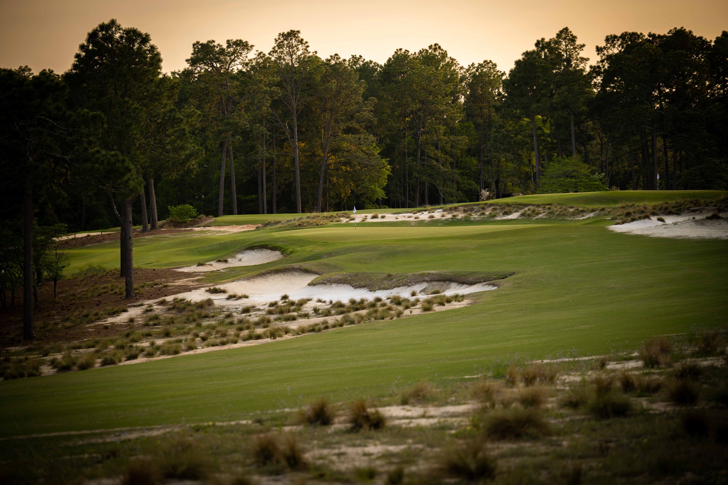 pinehurst no2 0019