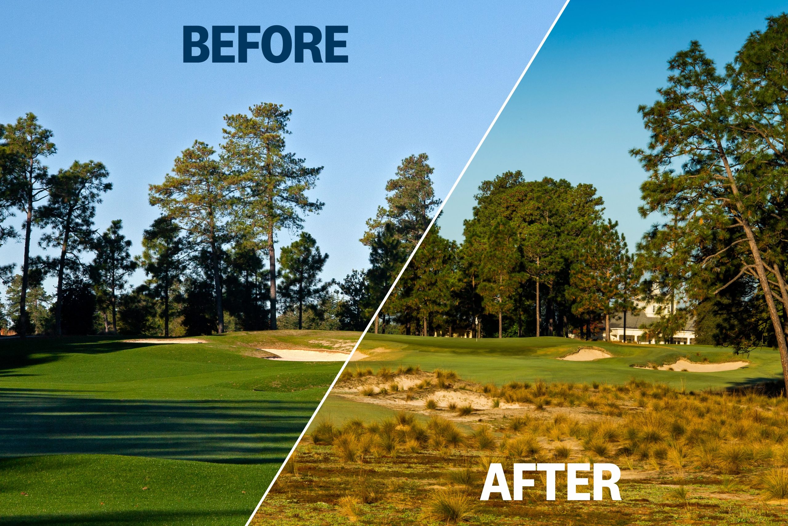 pinehurst no2 0027