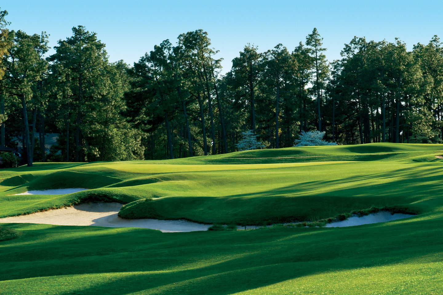 pinehurst no2 0029