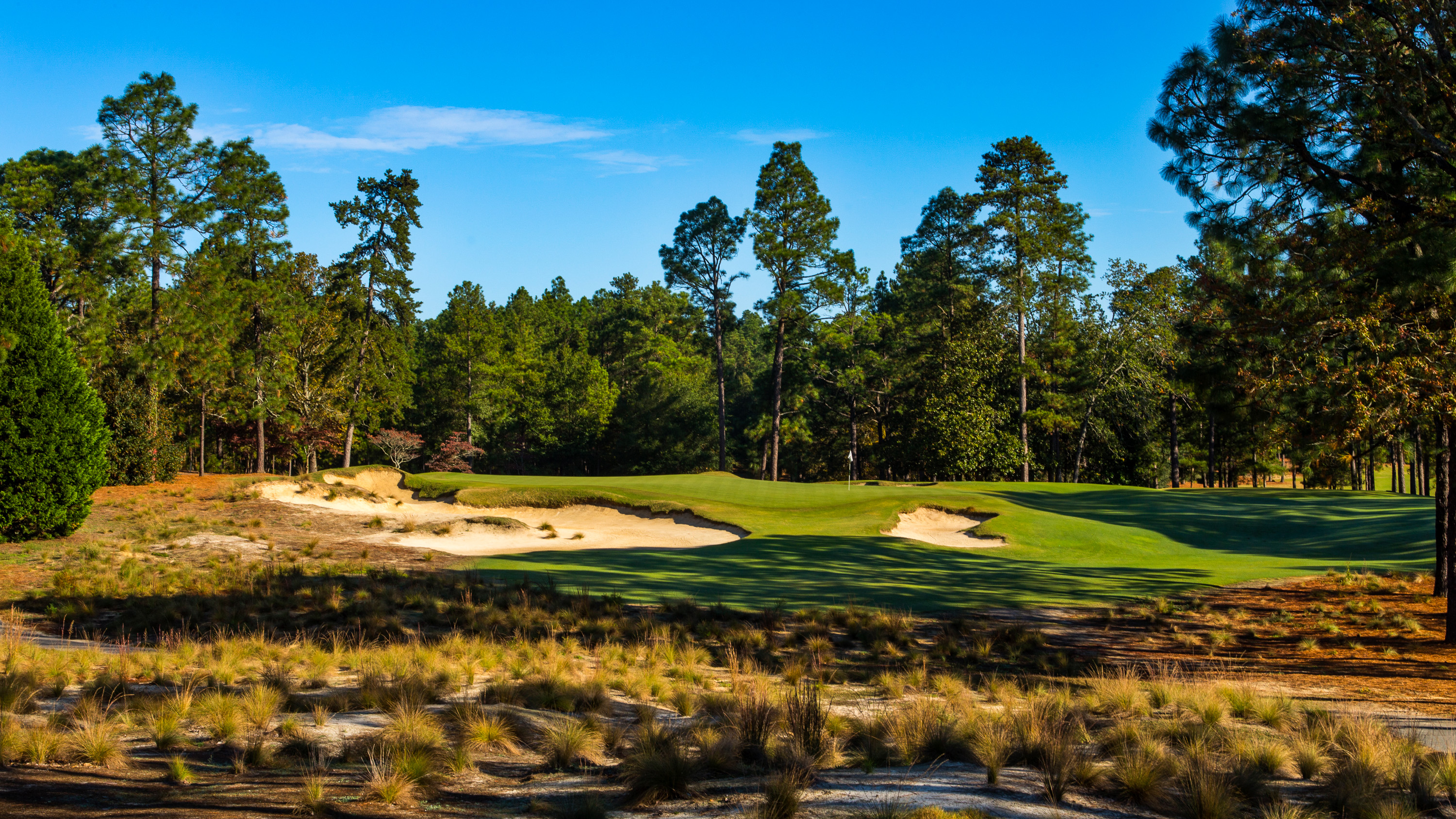pinehurst no2 0040