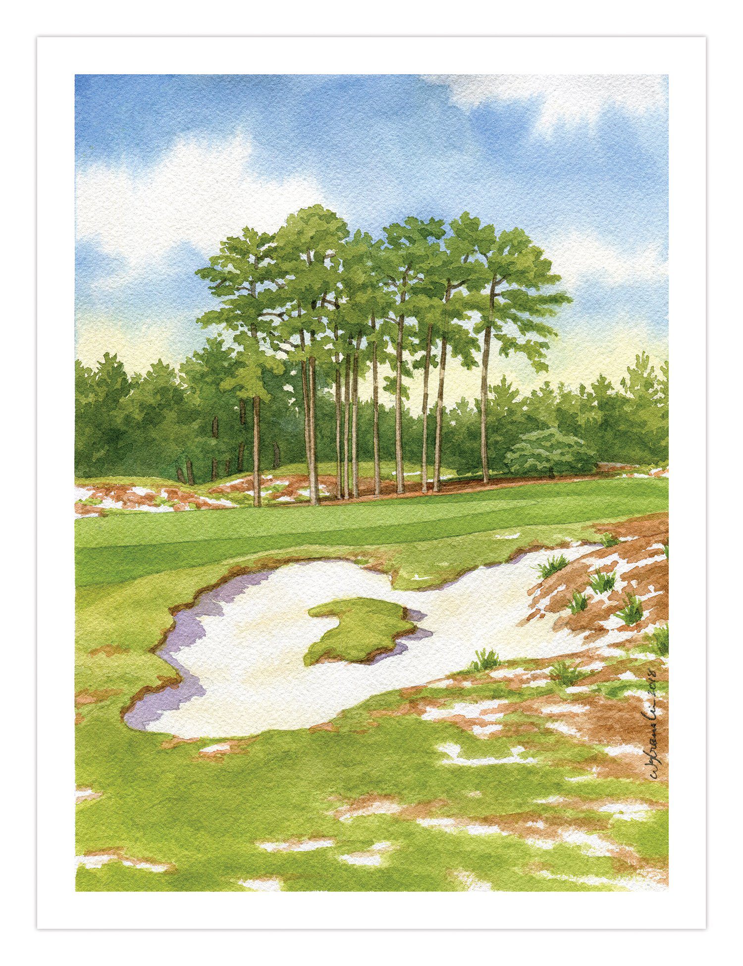pinehurst no2 0046