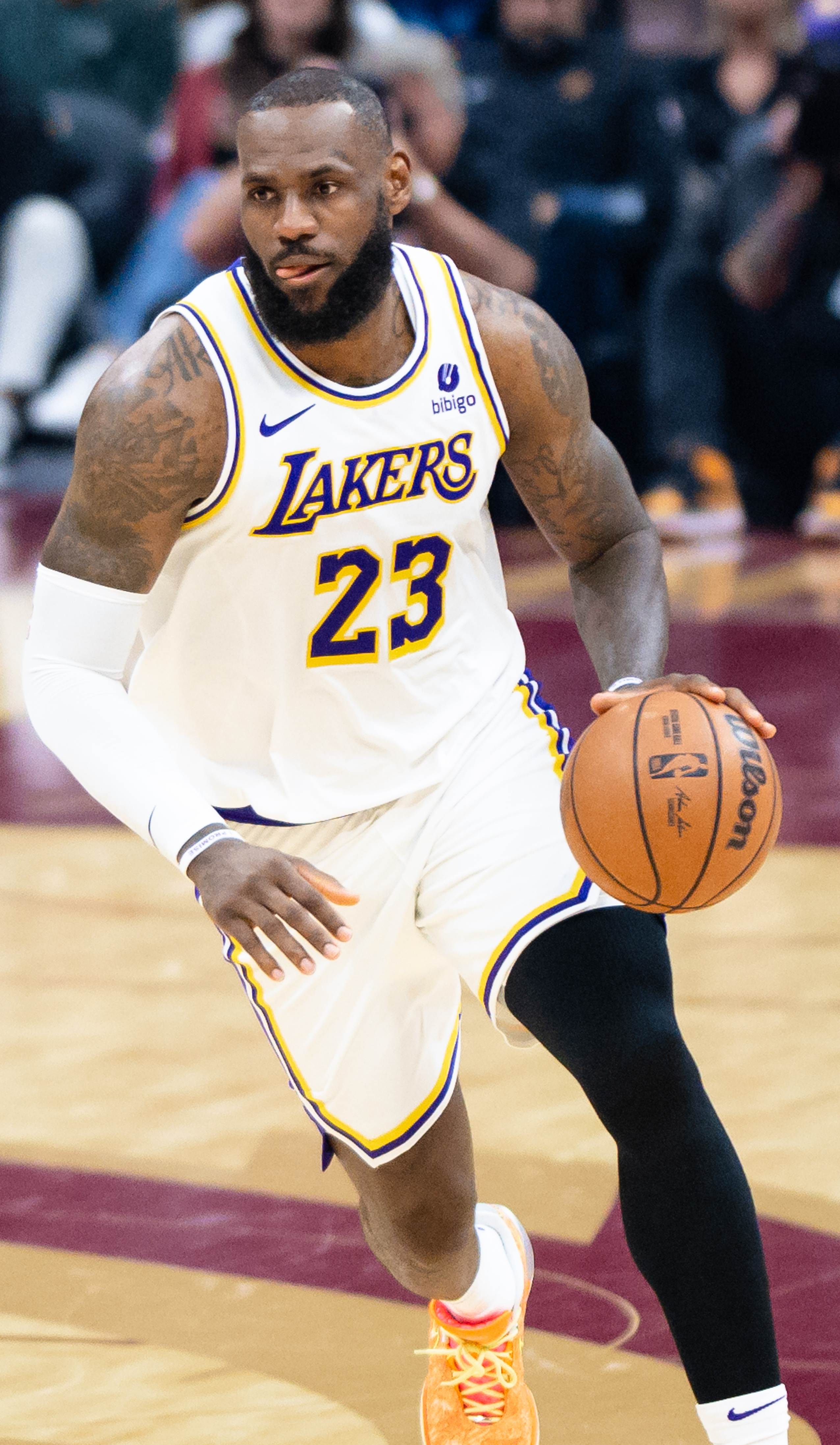 player image 0009