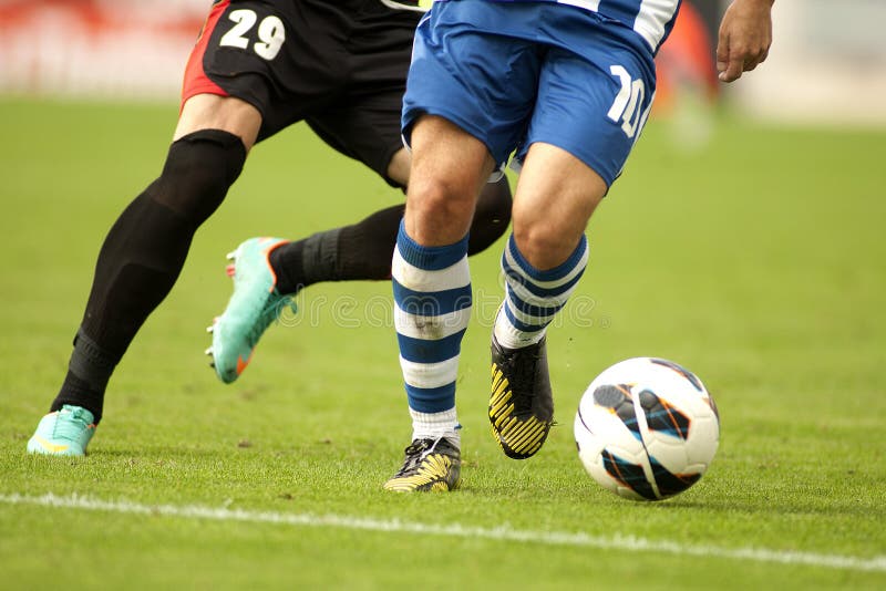 player image 0039