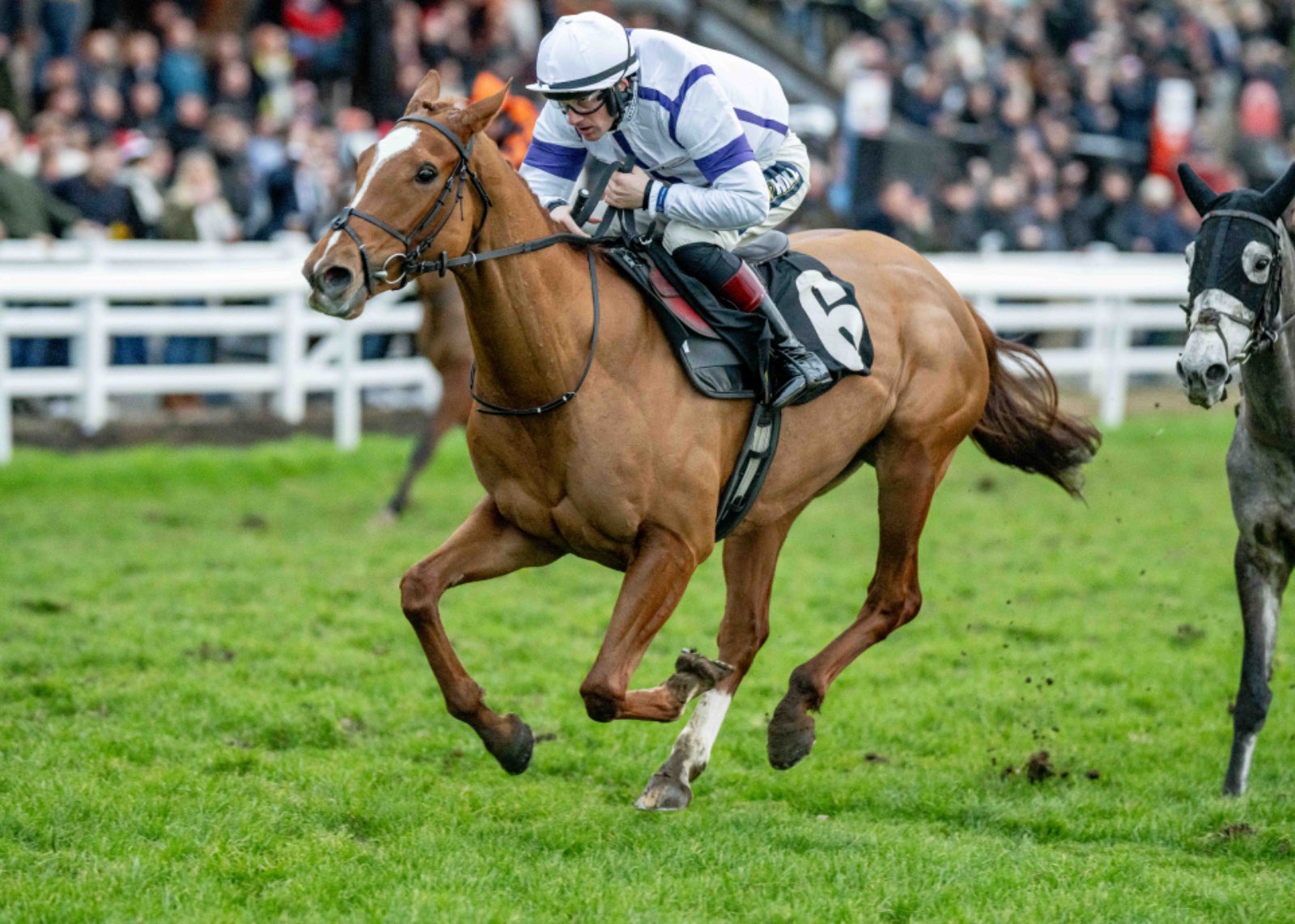 plumpton races 0015