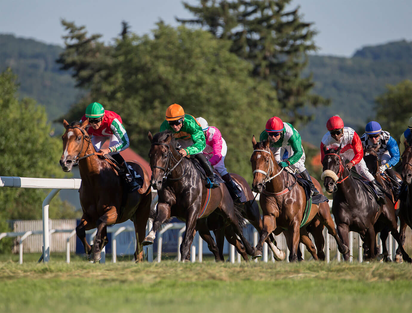 plumpton races 0016
