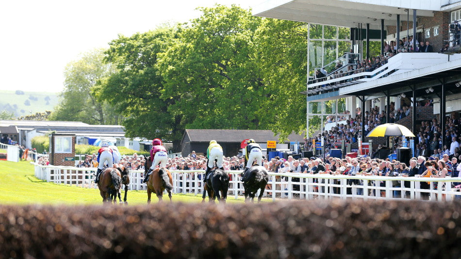plumpton races 0025