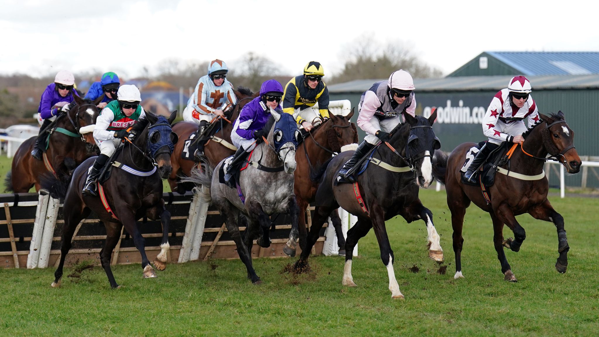 plumpton races 0026