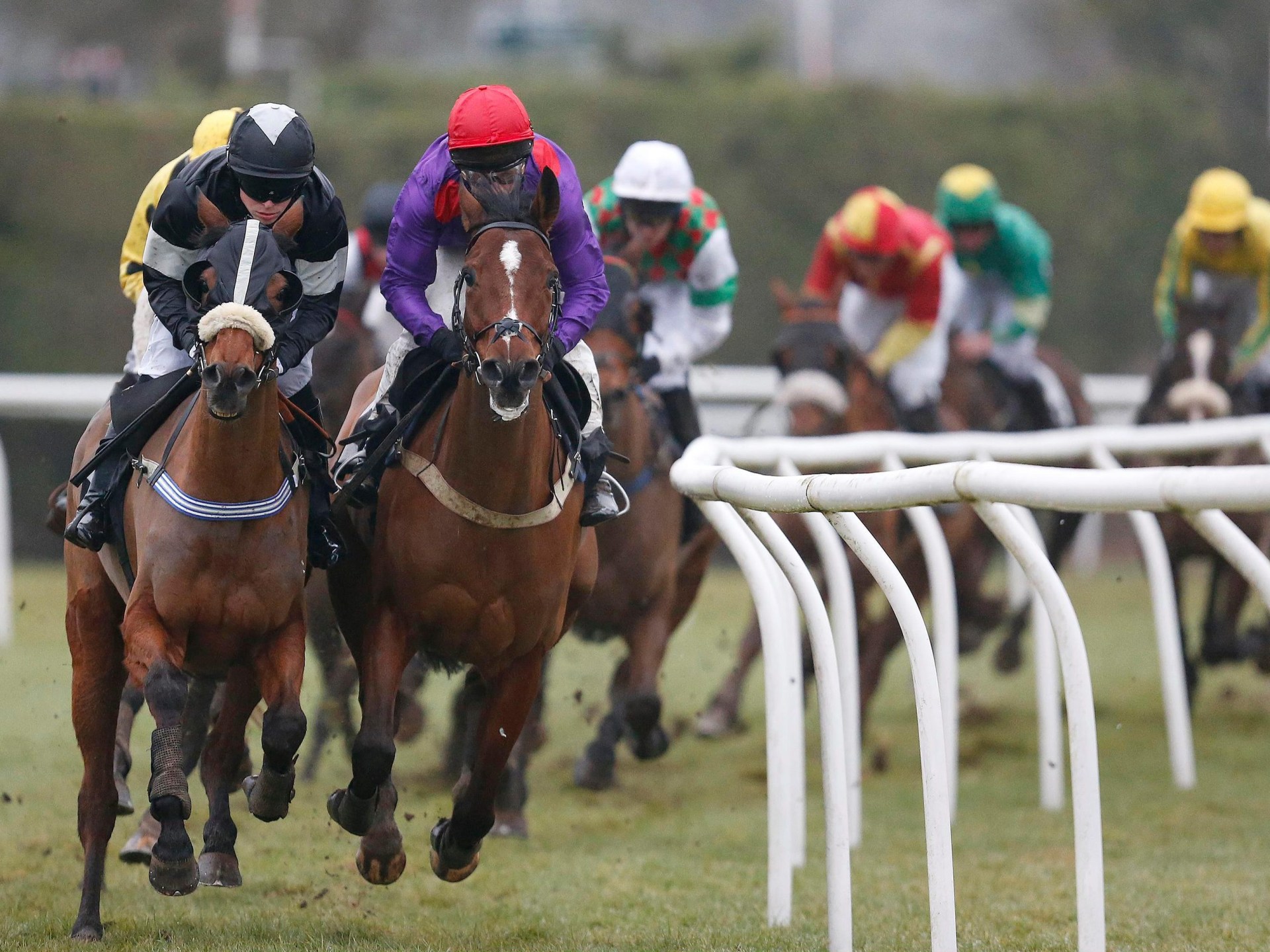 plumpton races 0027