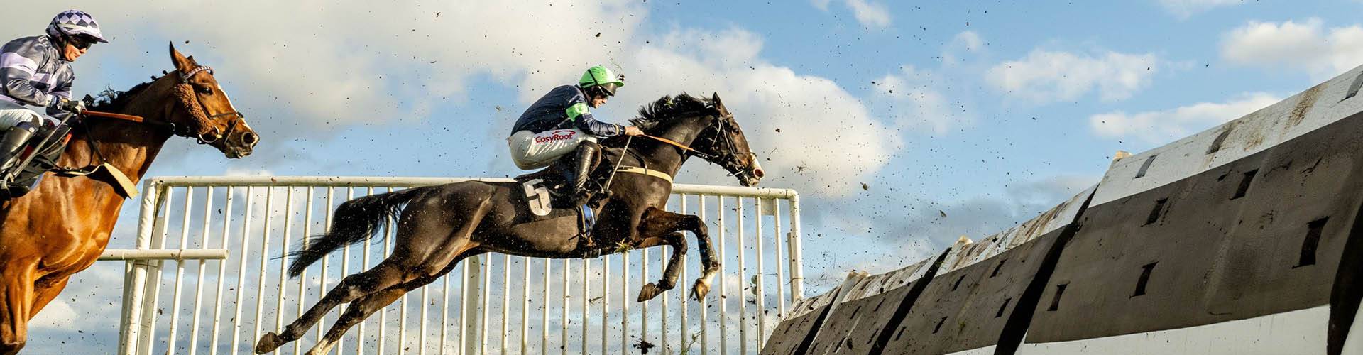 plumpton races 0032