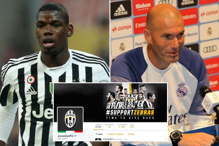 pogba pfp 0029