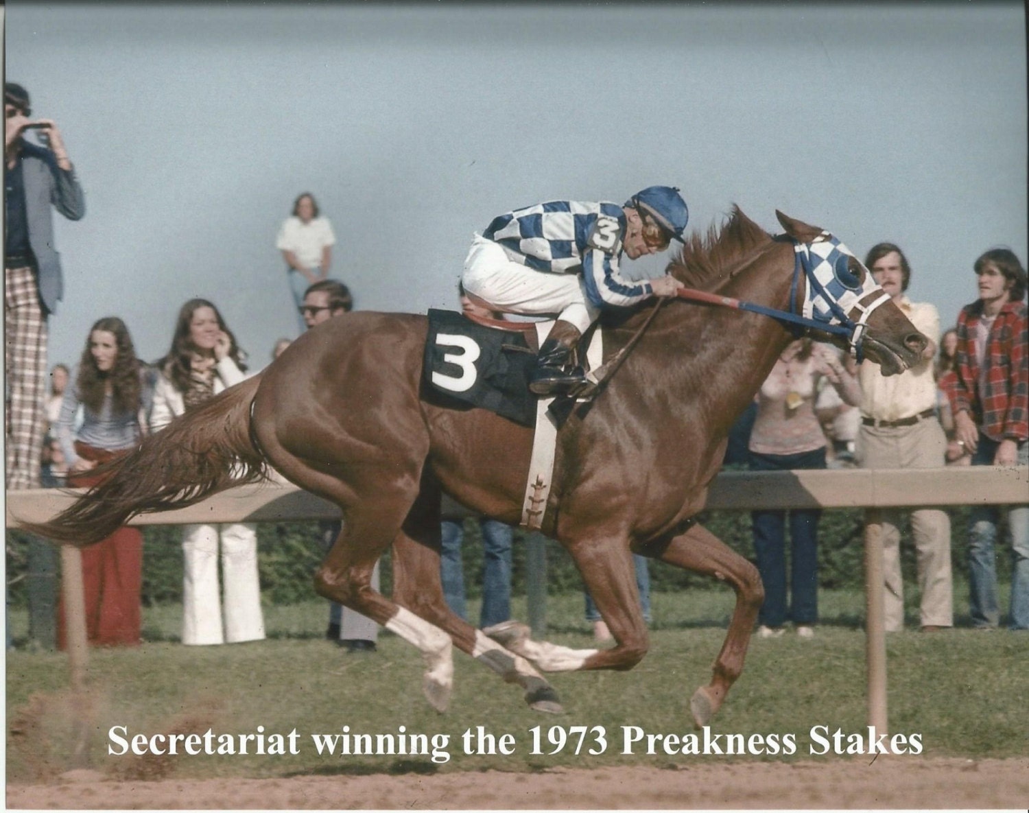 preakness secretariat 0011