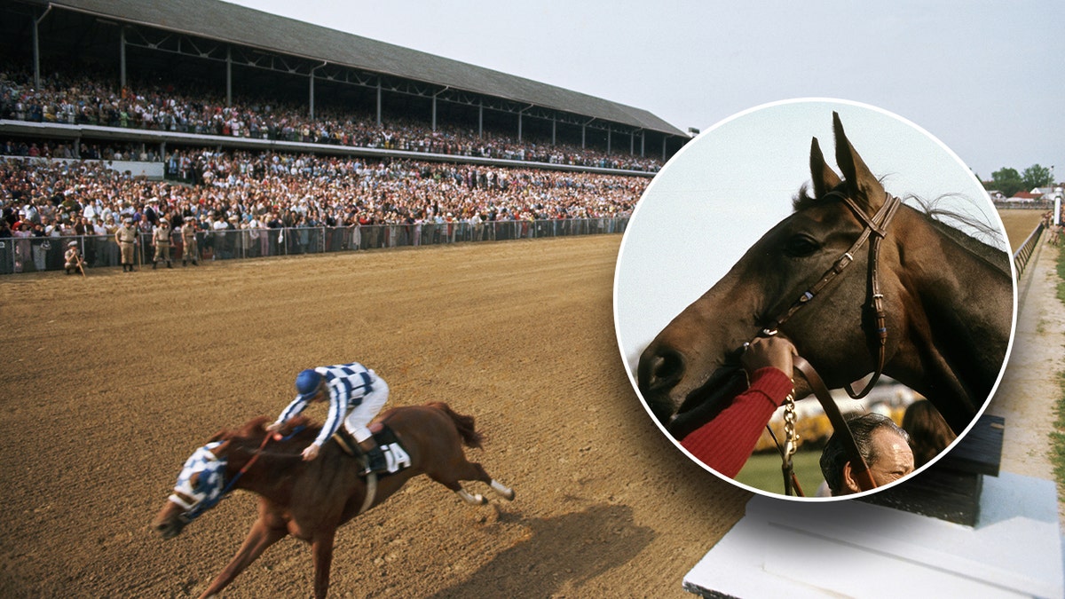 preakness secretariat 0019