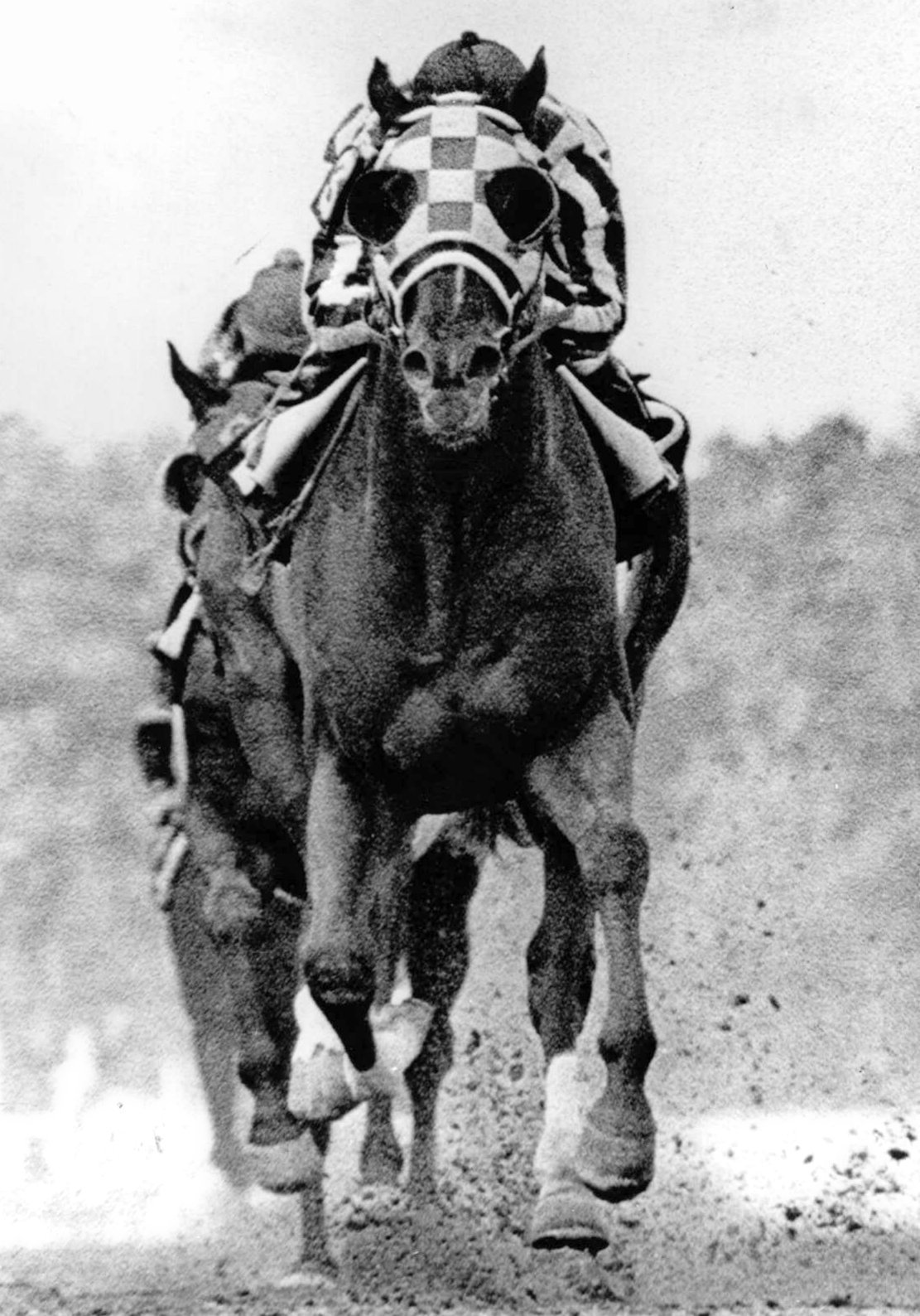 preakness secretariat 0020
