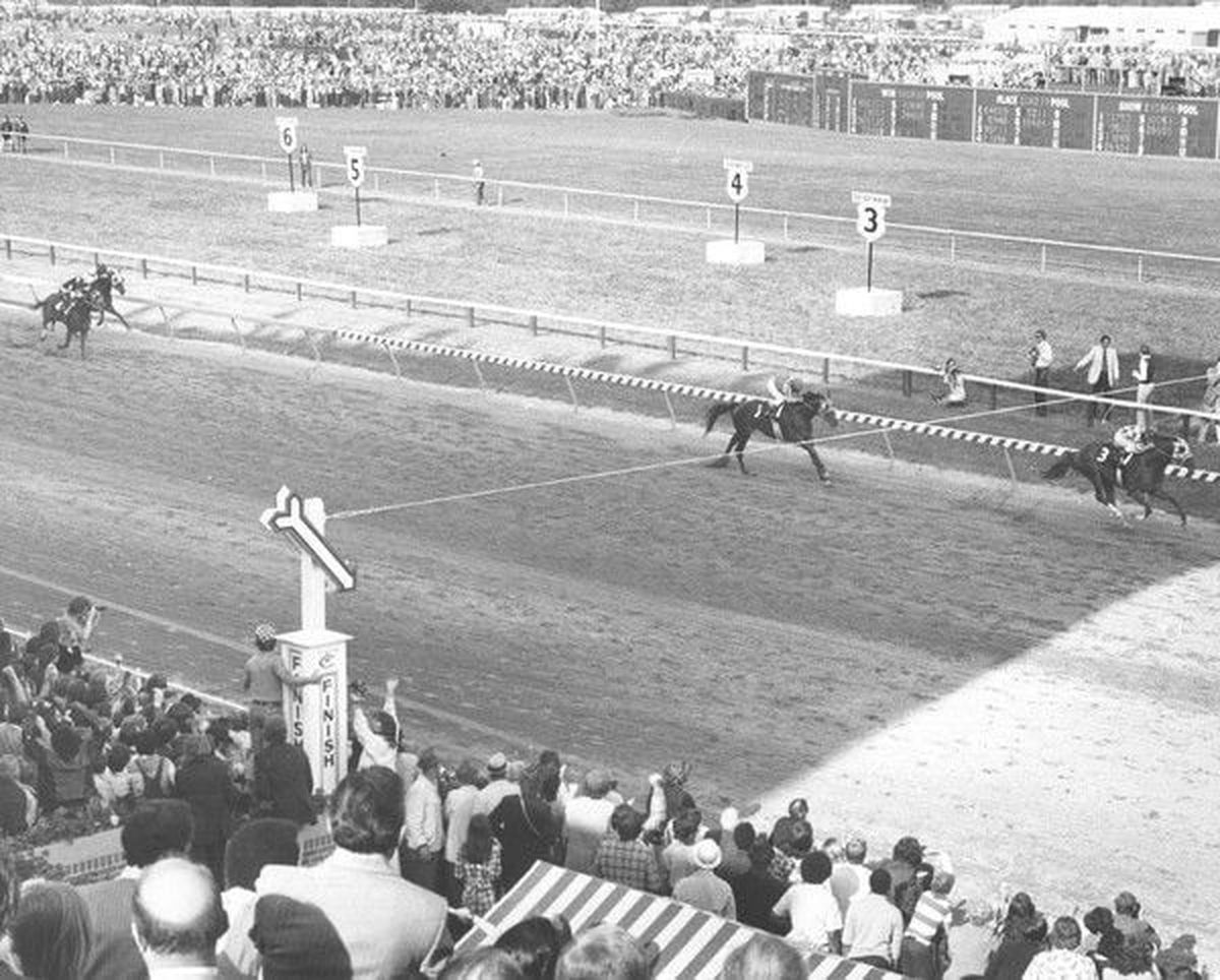 preakness secretariat 0022