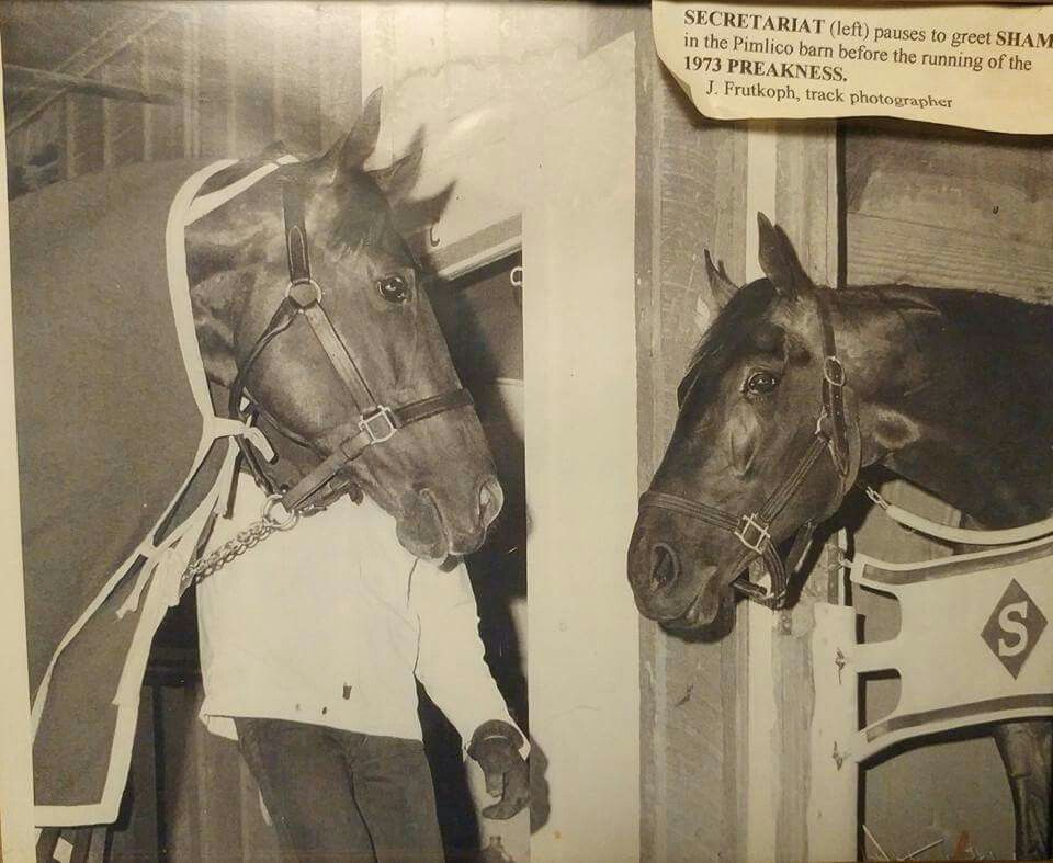 preakness secretariat 0025