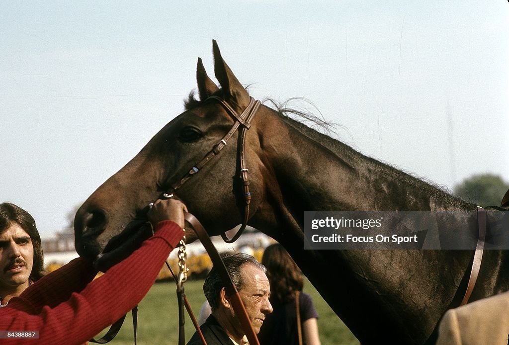preakness secretariat 0032