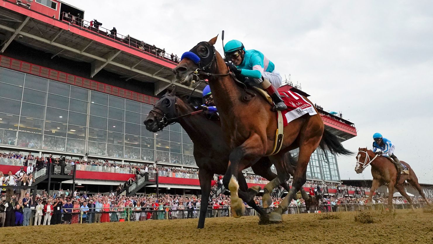 Preakness Stakes race day