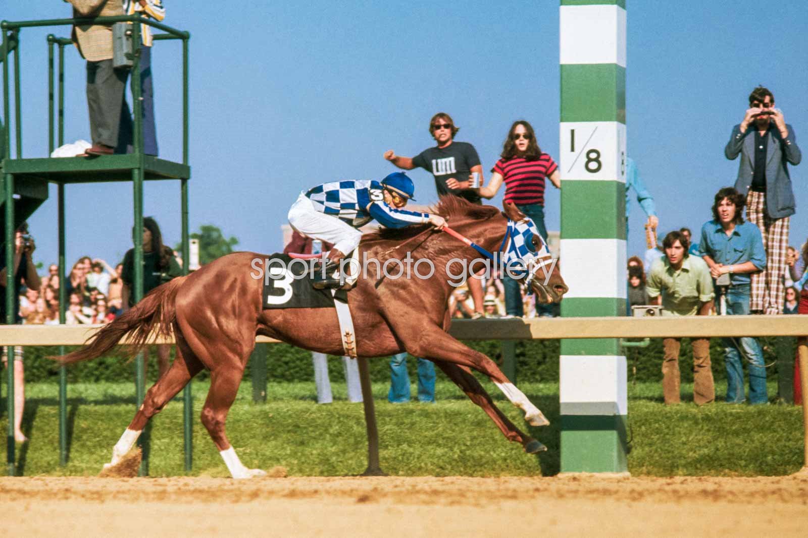 Preakness Stakes trivia