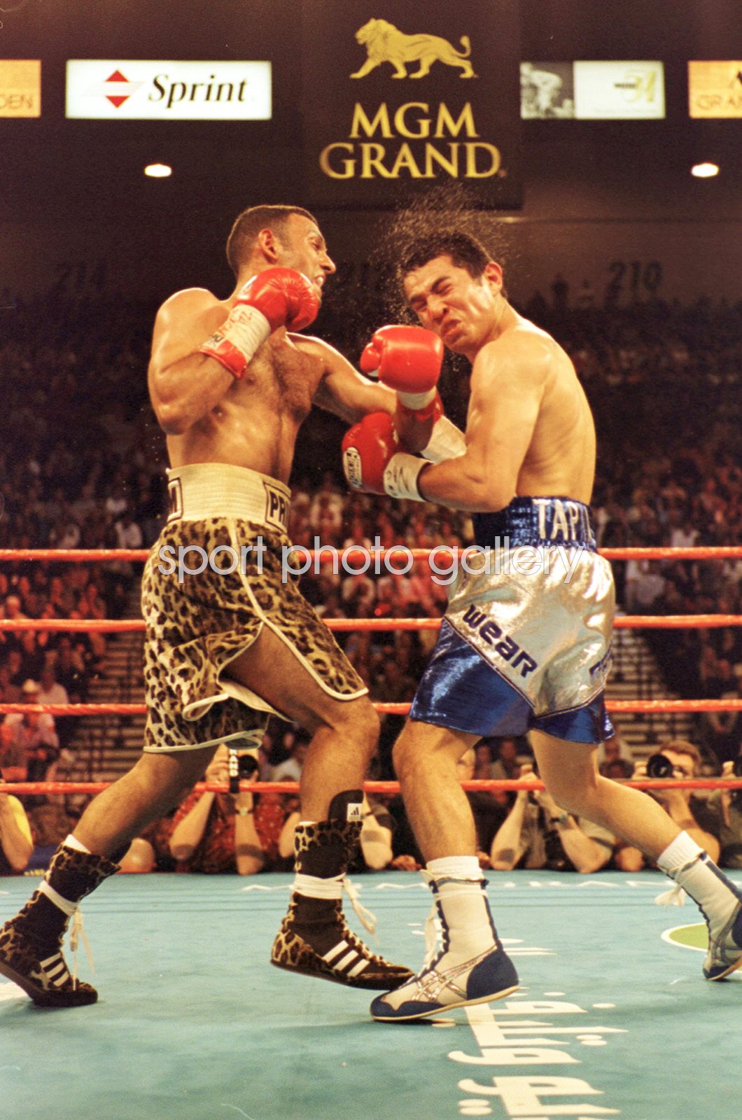 prince naseem wallpaper 0014
