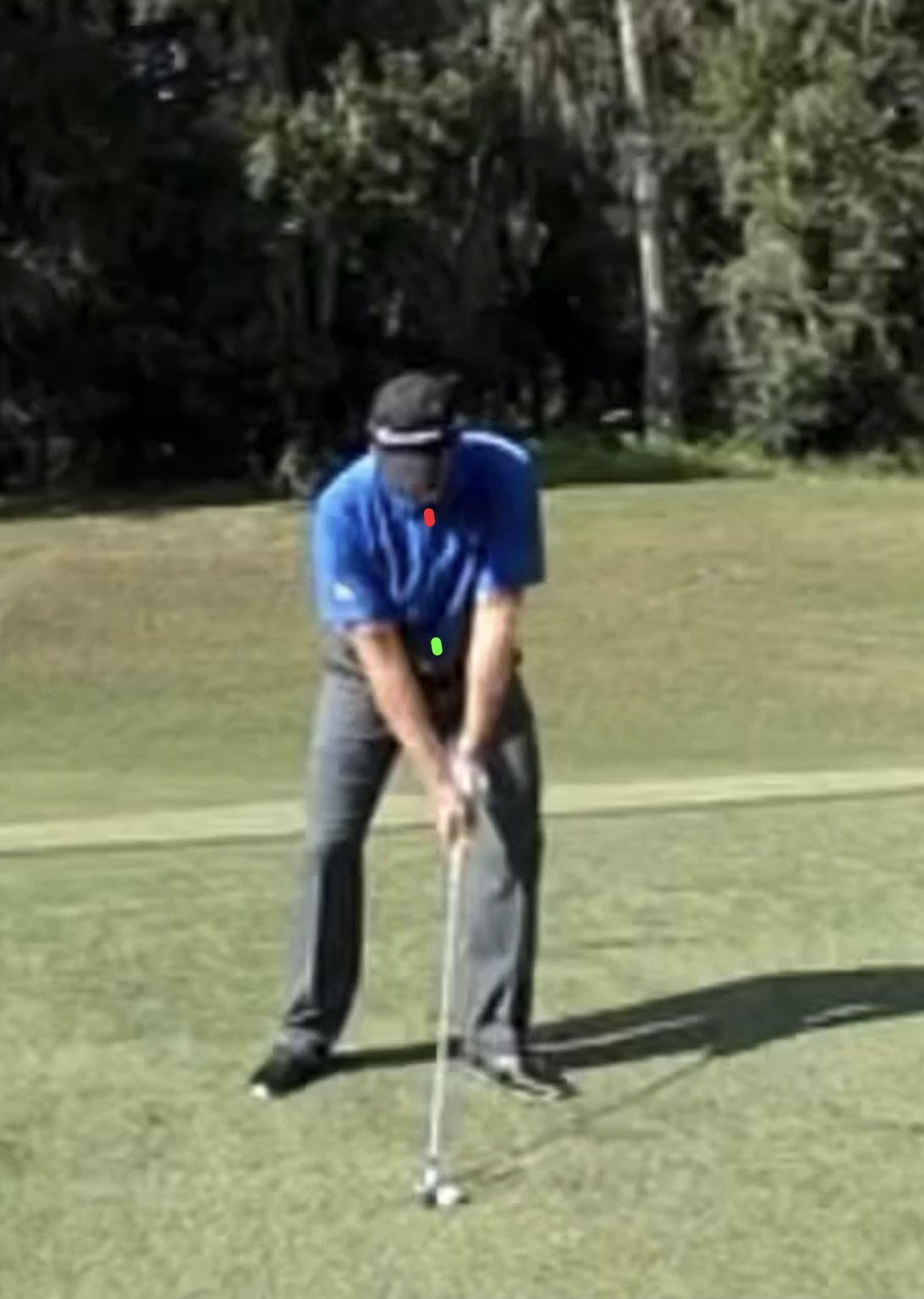 pro golf swing from behind 0029