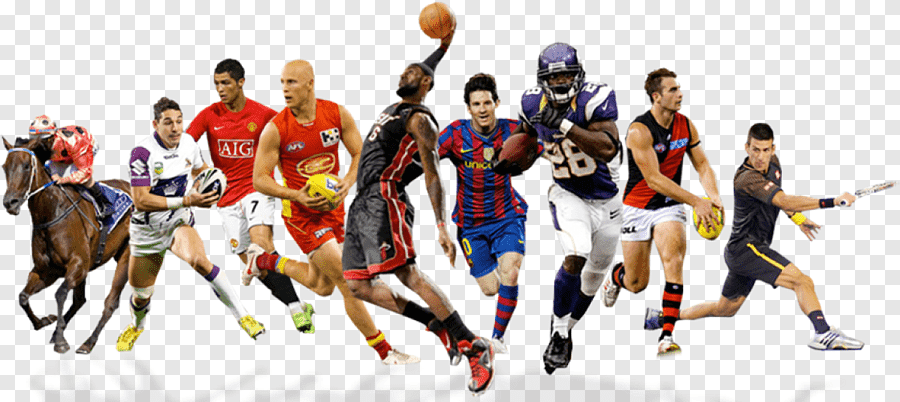 professional sports pictures 0011