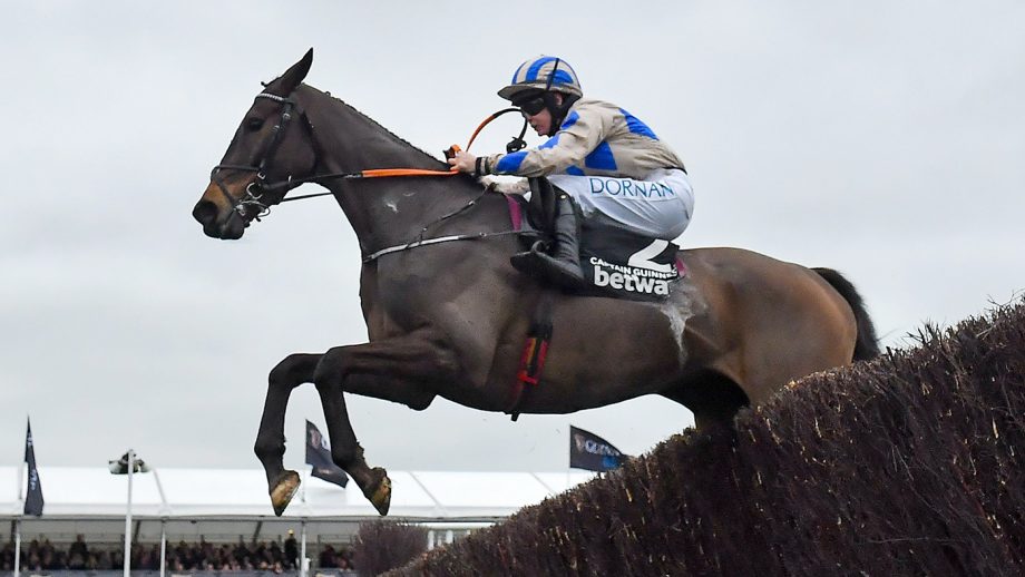 queen mother champion chase