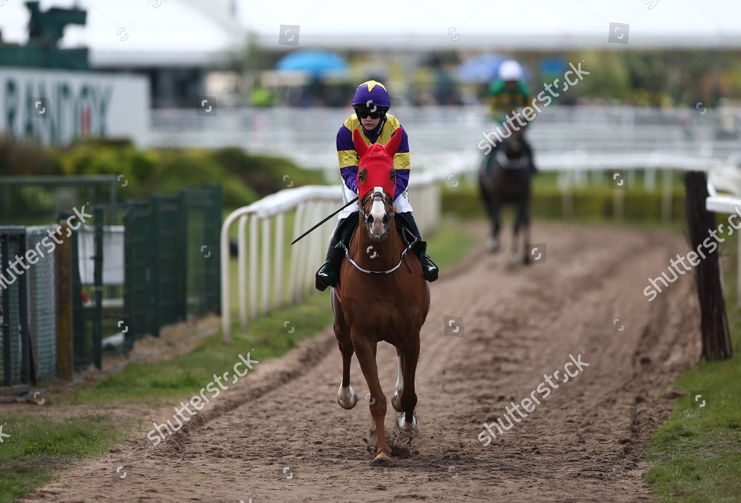 rachel blackmore 0044