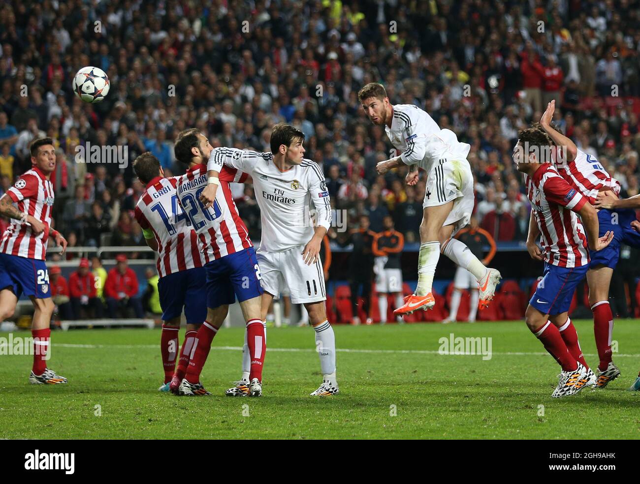 ramos 2014 0081