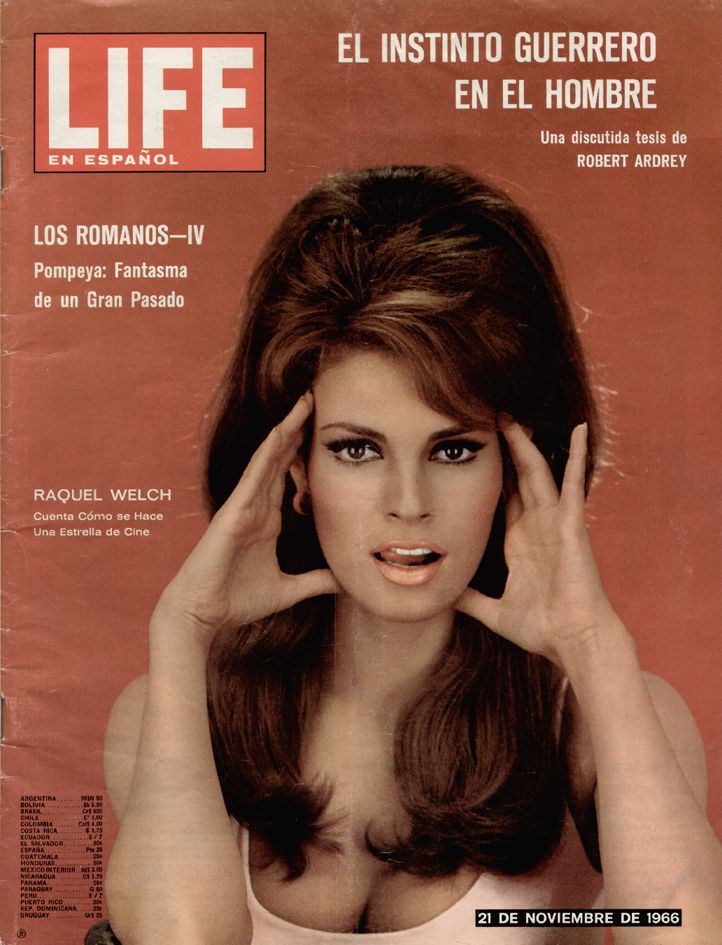 raquel welch iconic poster 0010