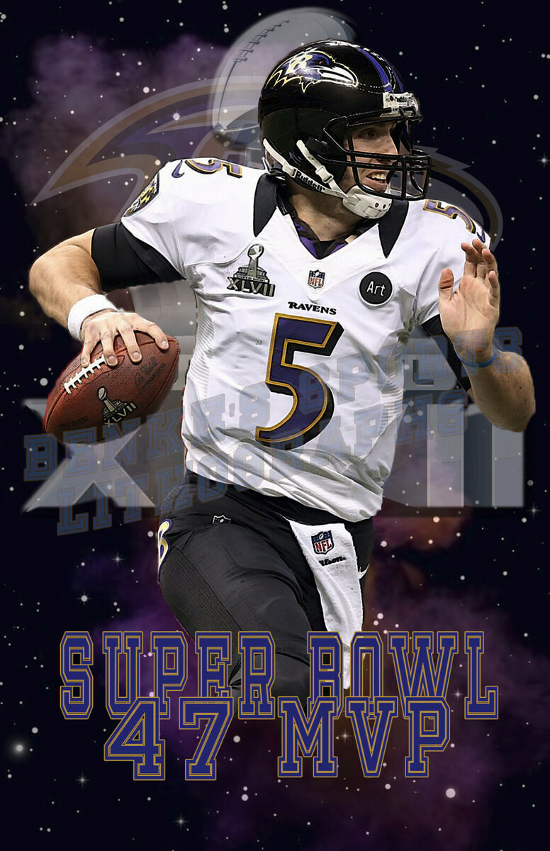 ravens vs 49ers super bowl