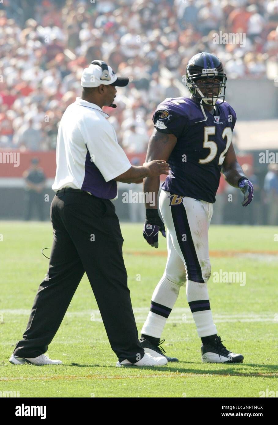 ray lewis cleveland browns 0009