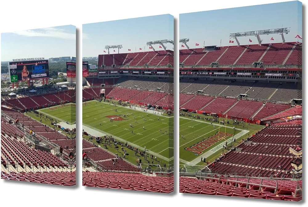 raymond james stadium soccer 0041