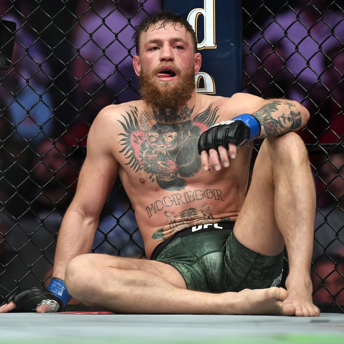 recent photos of conor mcgregor 0016
