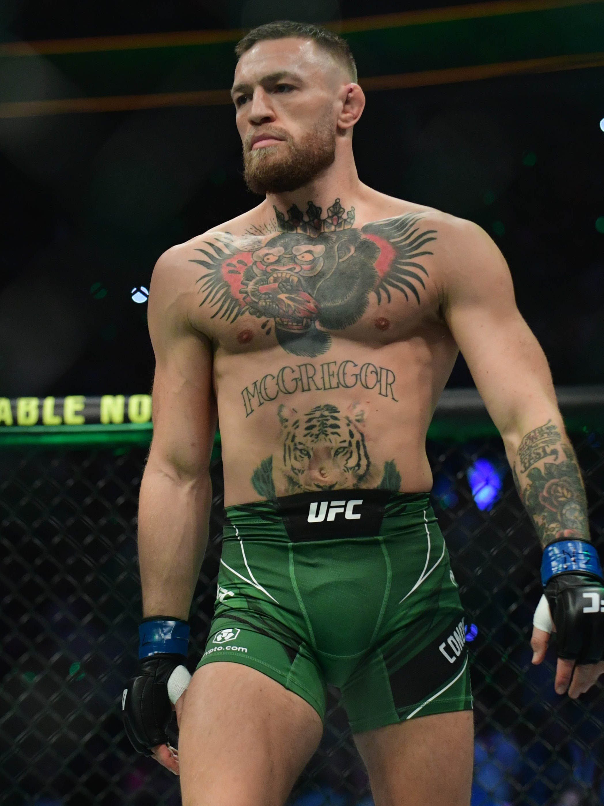 recent photos of conor mcgregor 0019