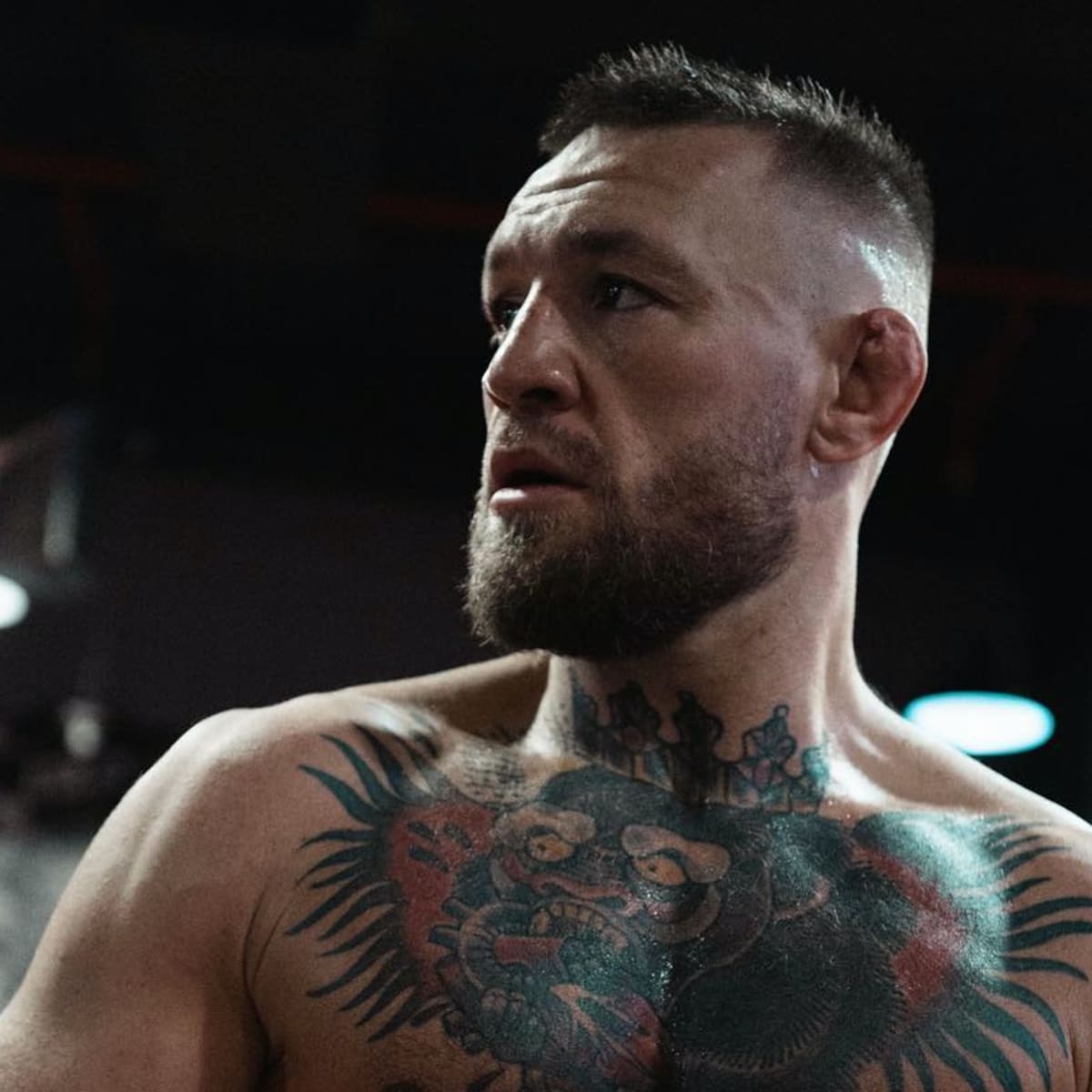 recent photos of conor mcgregor 0041