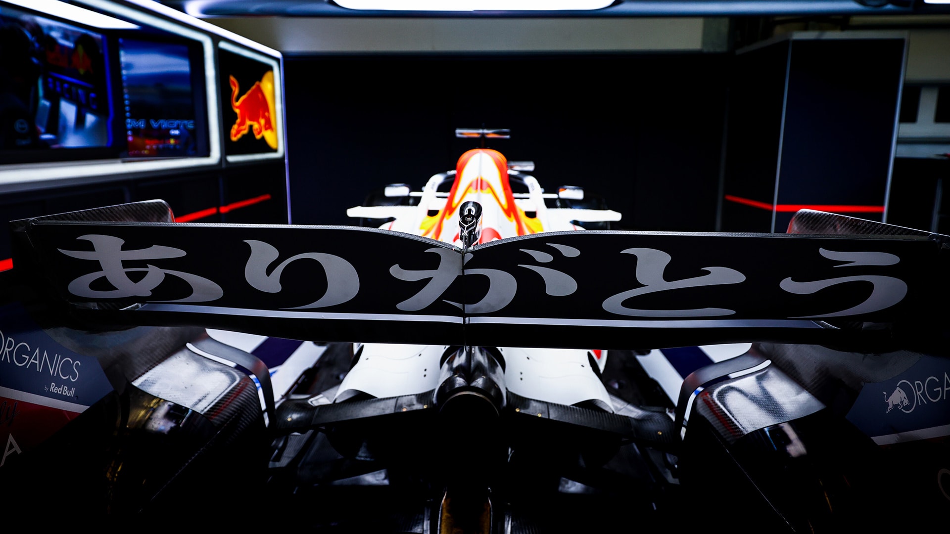 red bull turkey livery 0028
