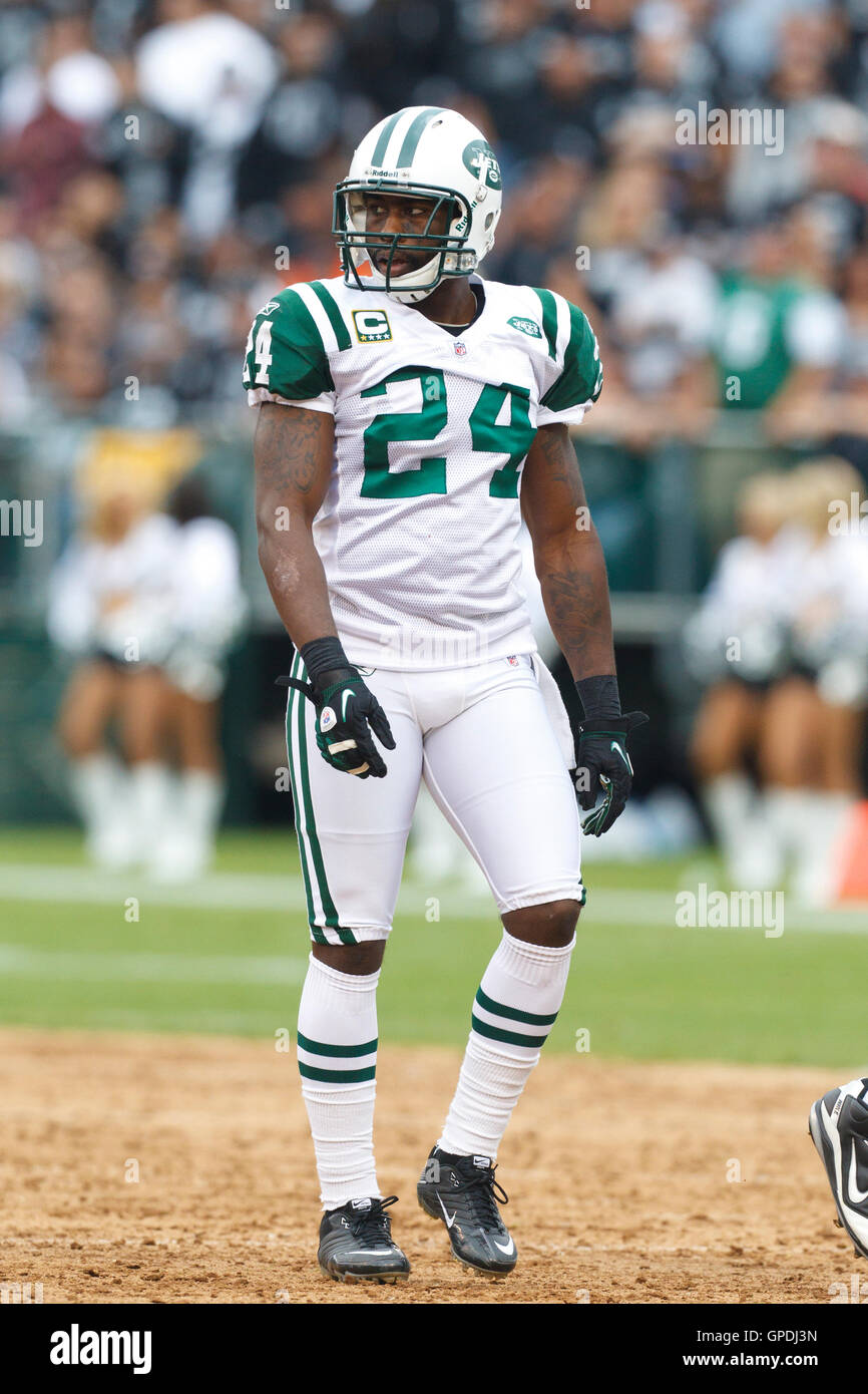 Revis XL wallpaper