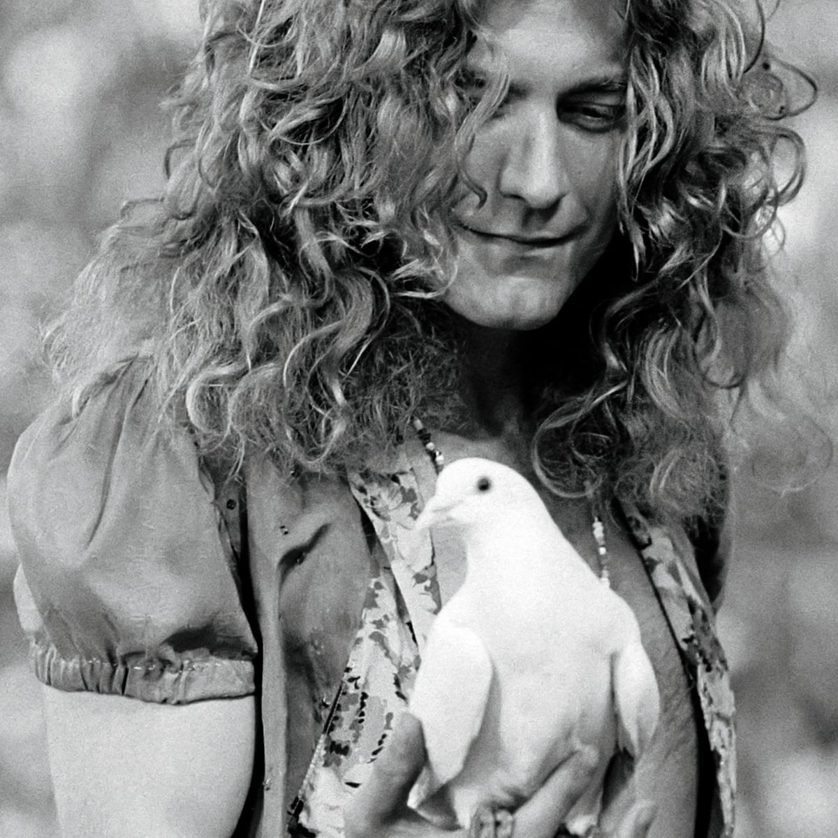 robert plant 1973 0017