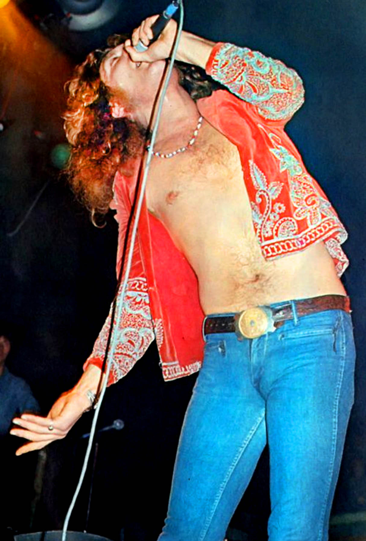 robert plant 1973 0035