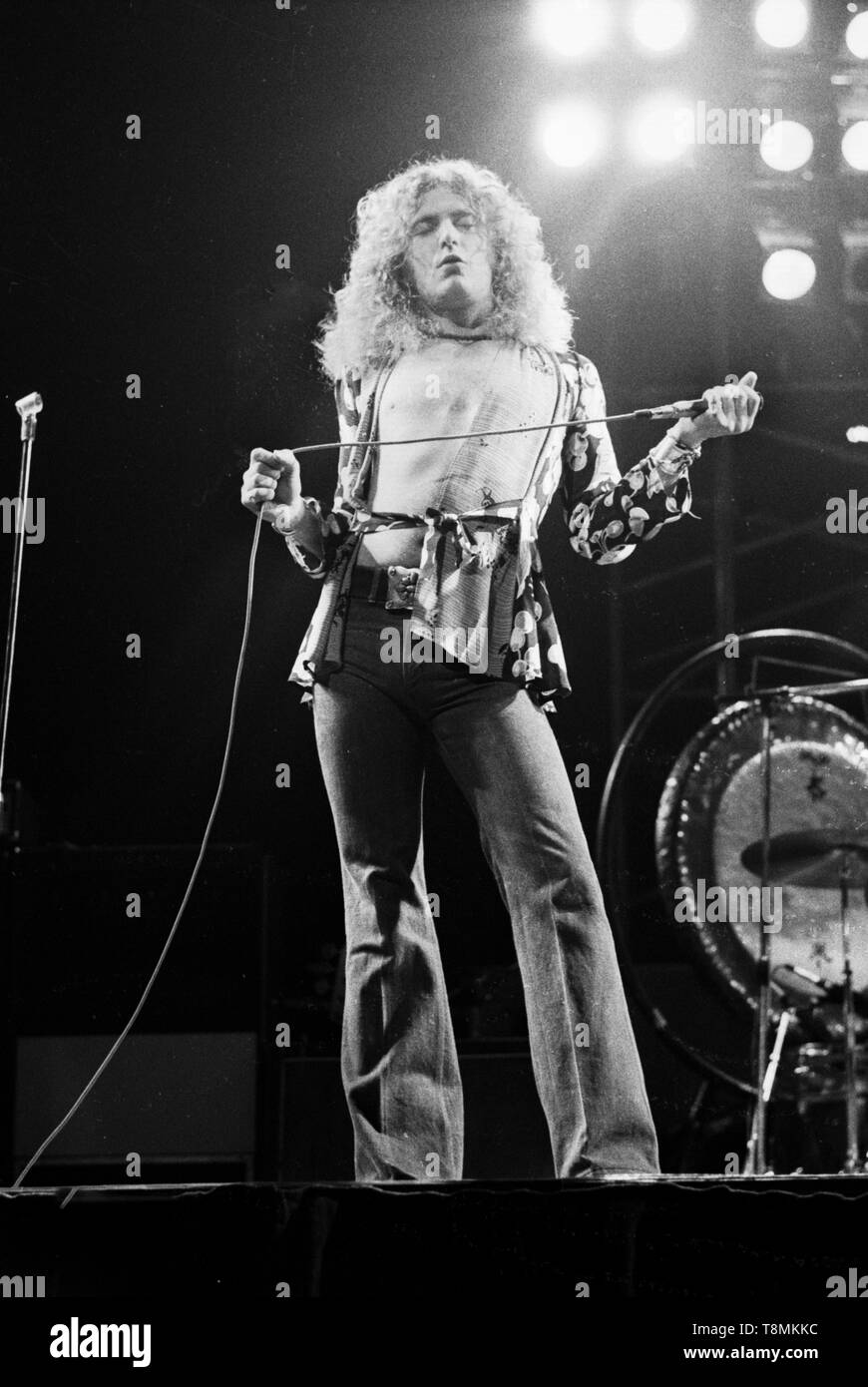 Robert Plant live performance