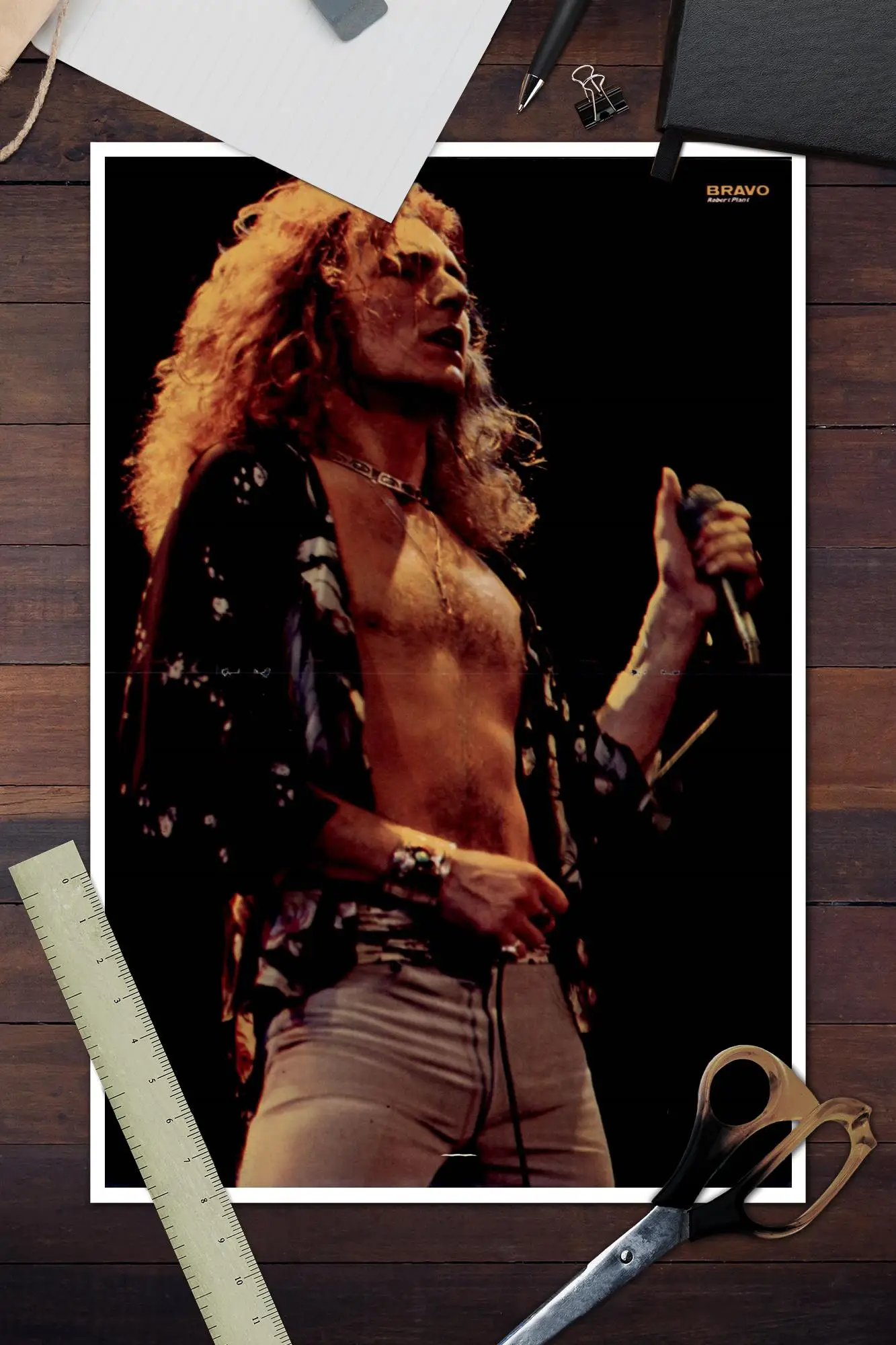 robert plant posters 0009