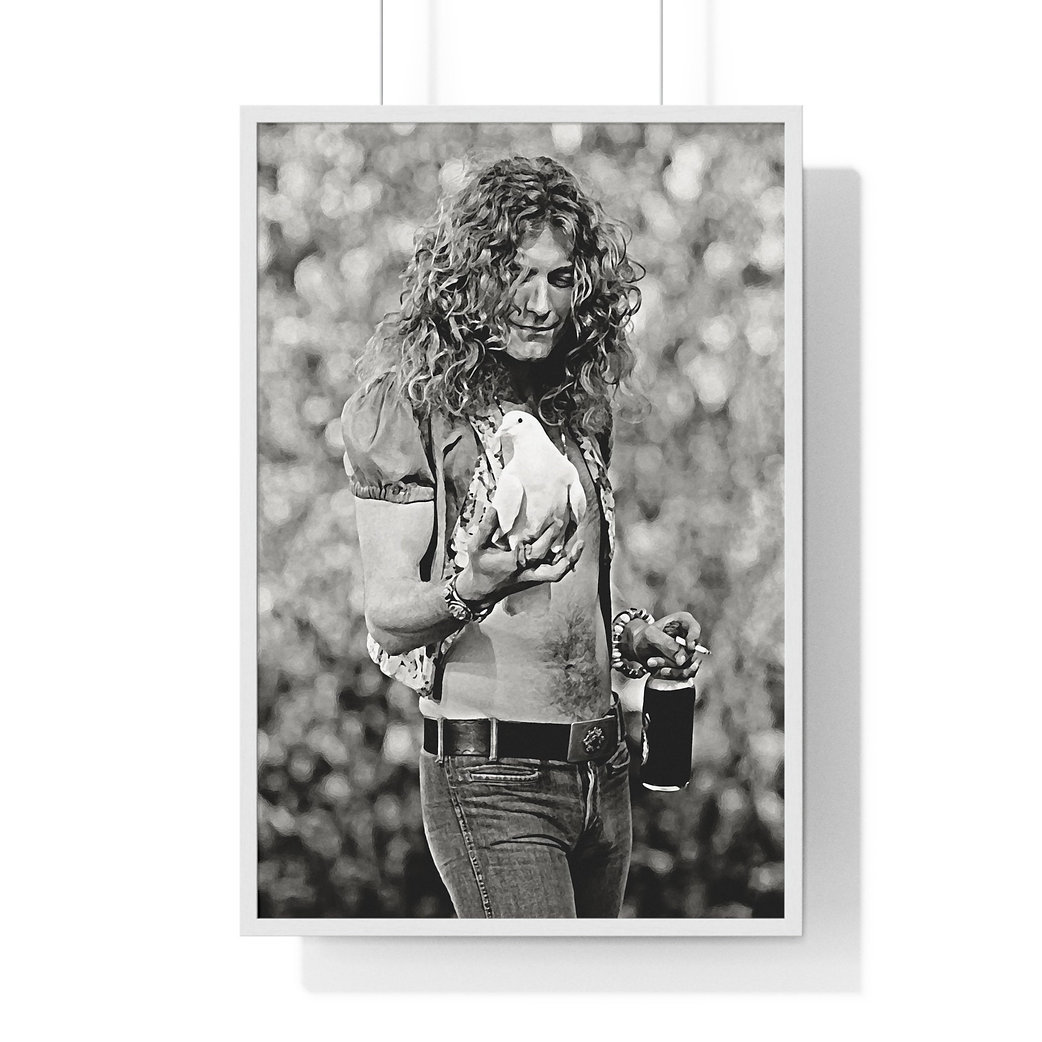 robert plant posters 0019